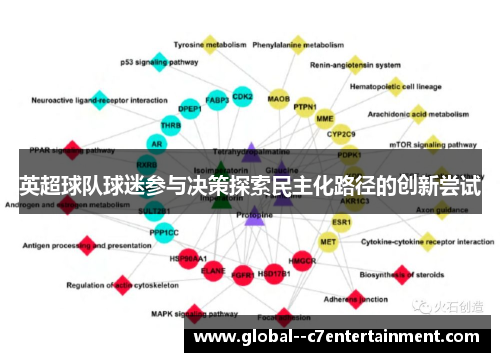 英超球队球迷参与决策探索民主化路径的创新尝试