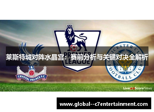 莱斯特城对阵水晶宫:赛前分析与关键对决全解析 莱斯特城对阵水晶宫:赛前分析与关键对决全解析