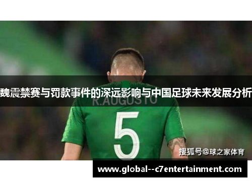 魏震禁赛与罚款事件的深远影响与中国足球未来发展分析