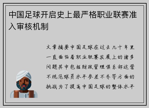 中国足球开启史上最严格职业联赛准入审核机制